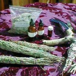 Bad energy clearing                     
Flower remedies
Psychic readings                           
Animal communication
Shamanism                                      
EMDR
Hypnotherapy
Hypnosis
Past life regressions
Trauma relief
trauma
Quantum Field Healing
Theta Healing
EFT